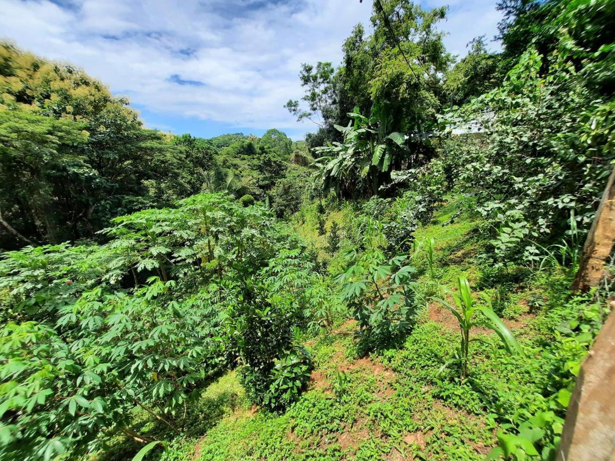 Eco-Turismo Guayacanes Sámara Exterior foto